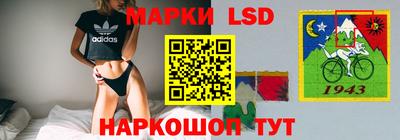 Альфа ПВП Камышлов
