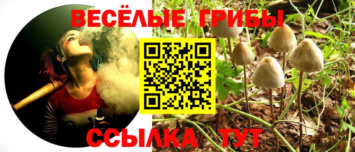 Псилоцибиновые грибы GOLDEN TEACHER Лабытнанги